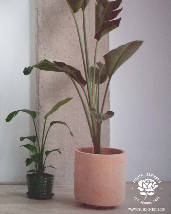 Atelier Domingo's lookbook for its first jewelry collection, Old School Love.